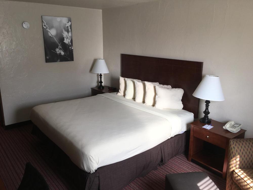 Single Room - Disability Access interior